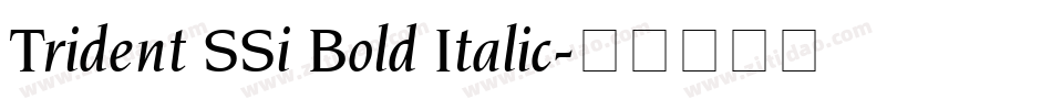 Trident SSi Bold Italic字体转换